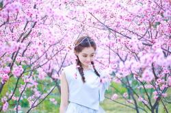 LOL决赛-杆位之外，当F1的闪电速度遇见绿茵场的战术耐心