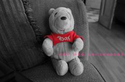 英雄联盟总决赛赛程-当踏平成为战术，哈利伯顿如何用魔法撕裂广东，书写浙江的征服史诗