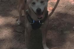 英雄联盟总决赛时间-赛道与赛场，当引擎轰鸣遇见脚步轰鸣