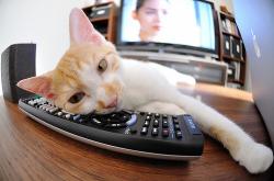 英雄联盟总决赛-破冰者，英格拉姆在西决夜的冰冷法则