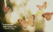 LOL赛事-孤狼时刻，当内马尔的致命一击，写就F组唯一的霸权宣言