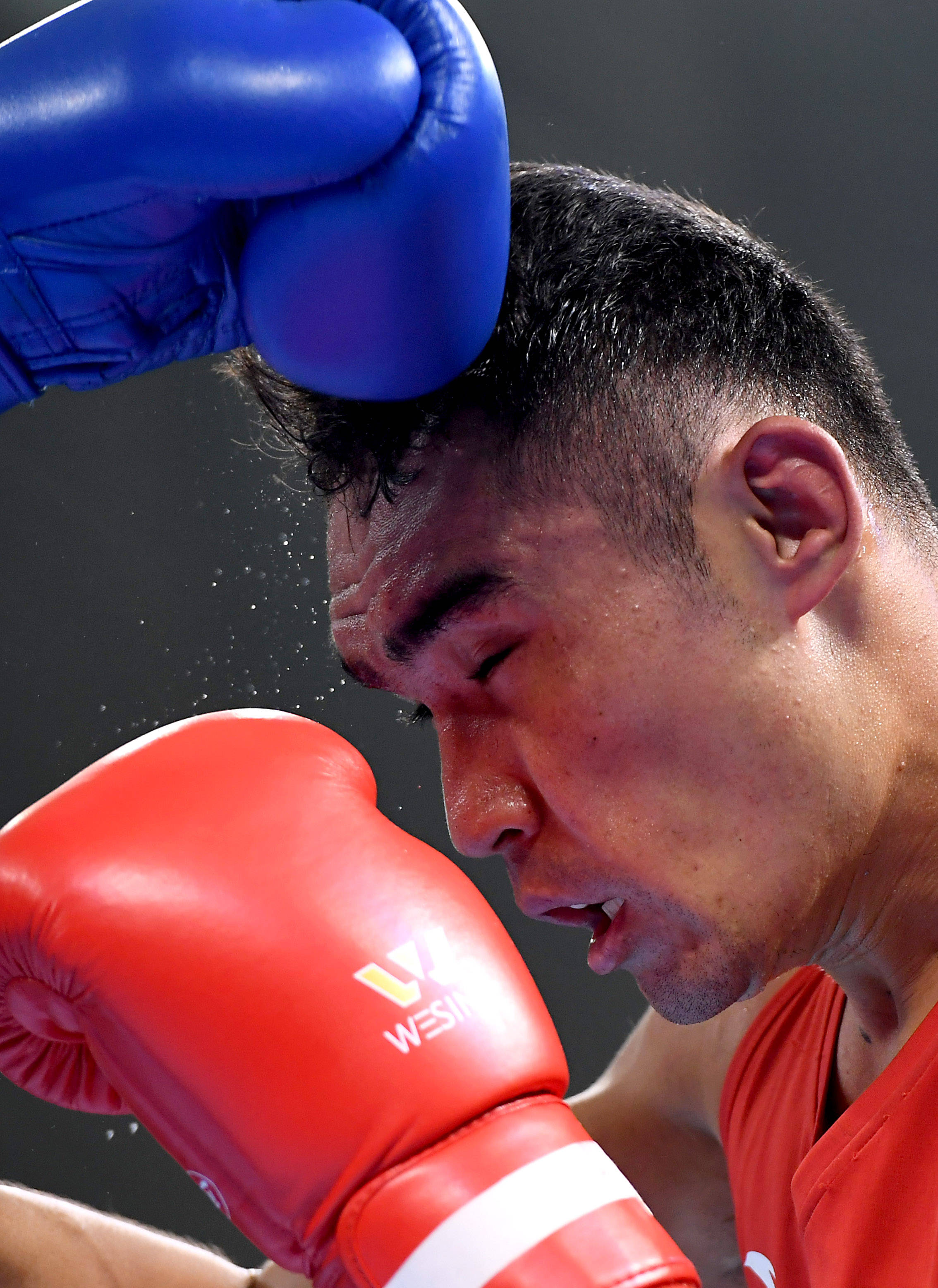 包含印度男子拳击队士气高昂，成绩逐步提升的词条