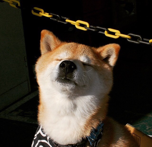 远见与执行，从突尼斯的战术纪律到德布劳内的决定性魔法