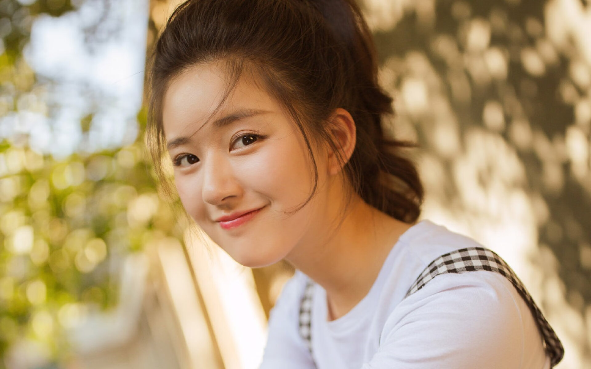 维也纳的黄昏,伊拉克古典主义革命与楚阿梅尼的关键密码