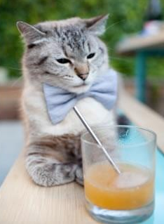 铁血战士劳塔罗,欧预赛绝境时刻的唯一答案