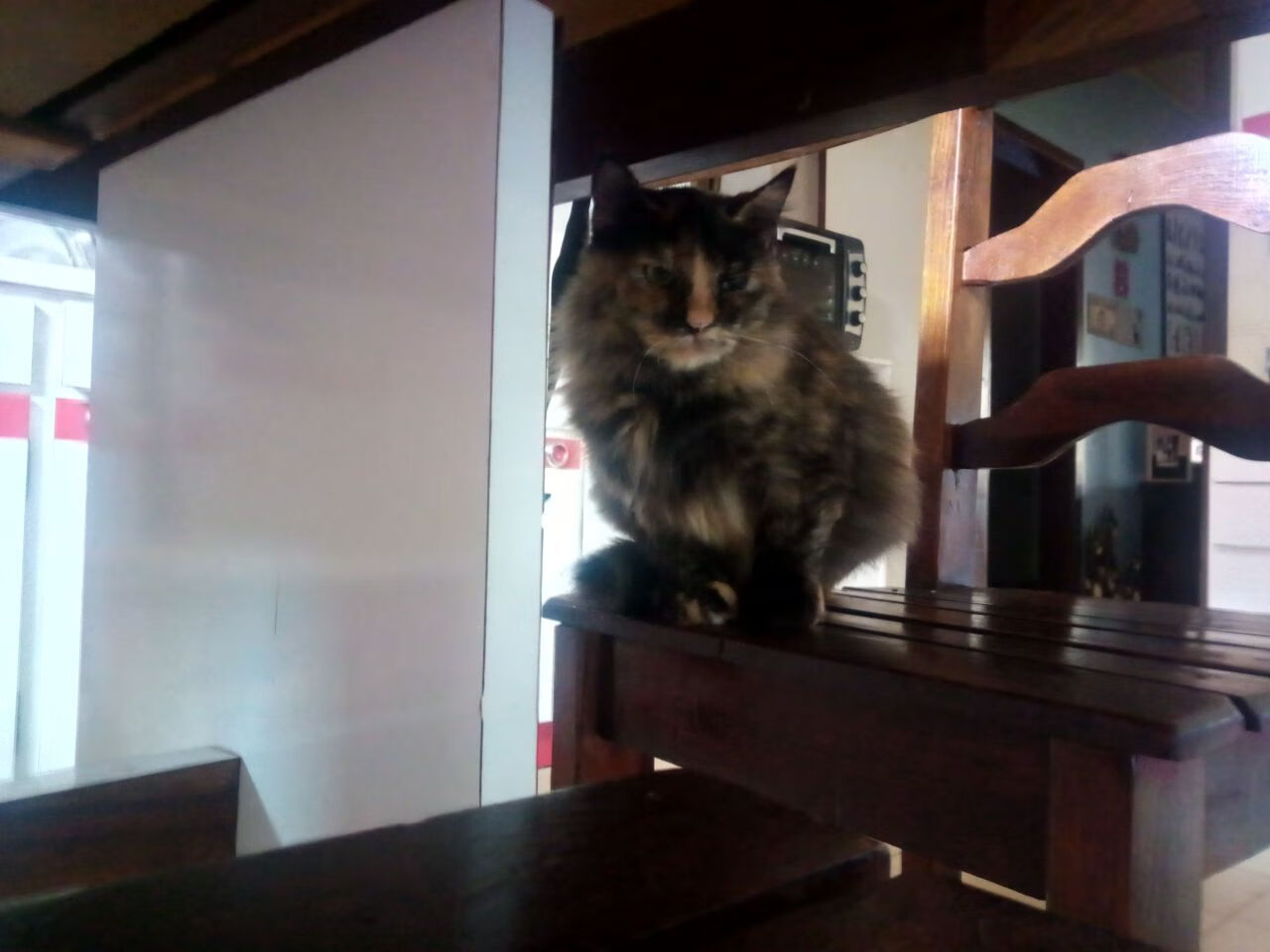 篮网巅峰对决胜山西，哈利伯顿关键先生闪耀全场