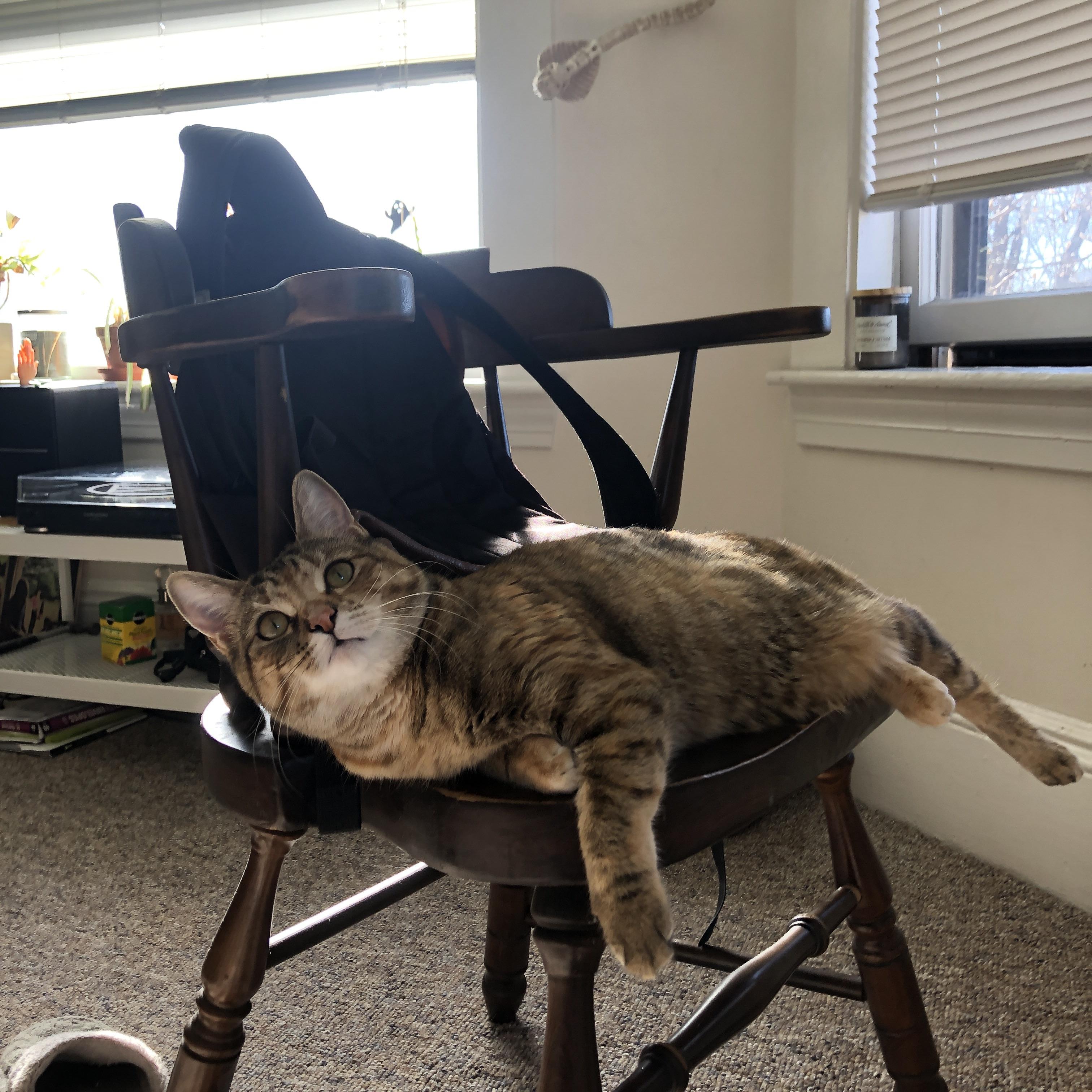 孤胆悲歌与团队交响，当布伦森的爆发撞上马刺的精密绞杀