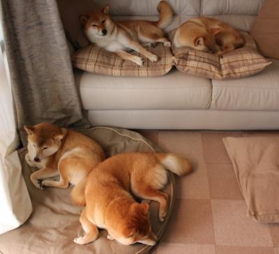 探戈与钢铁，马德里竞技如何为阿根廷足球注入反风格，兼论京多安的现代中场统治力