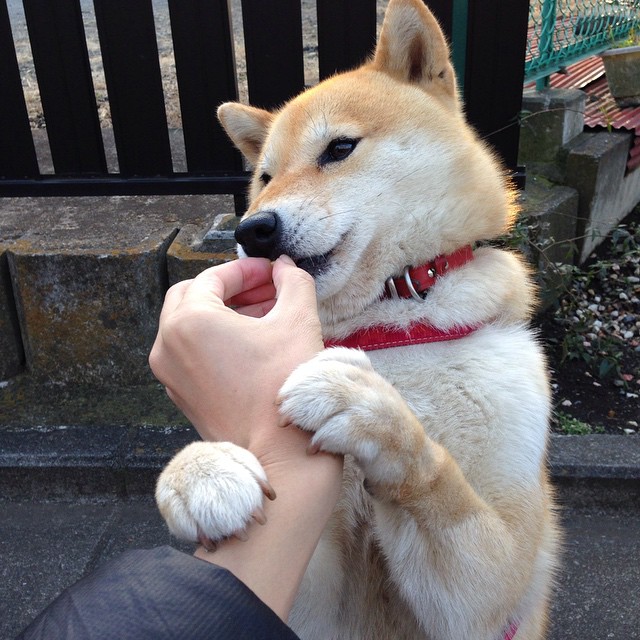 颠覆与重塑的利刃，当国家德比的战术火焰，点燃几内亚大地的胜利之火