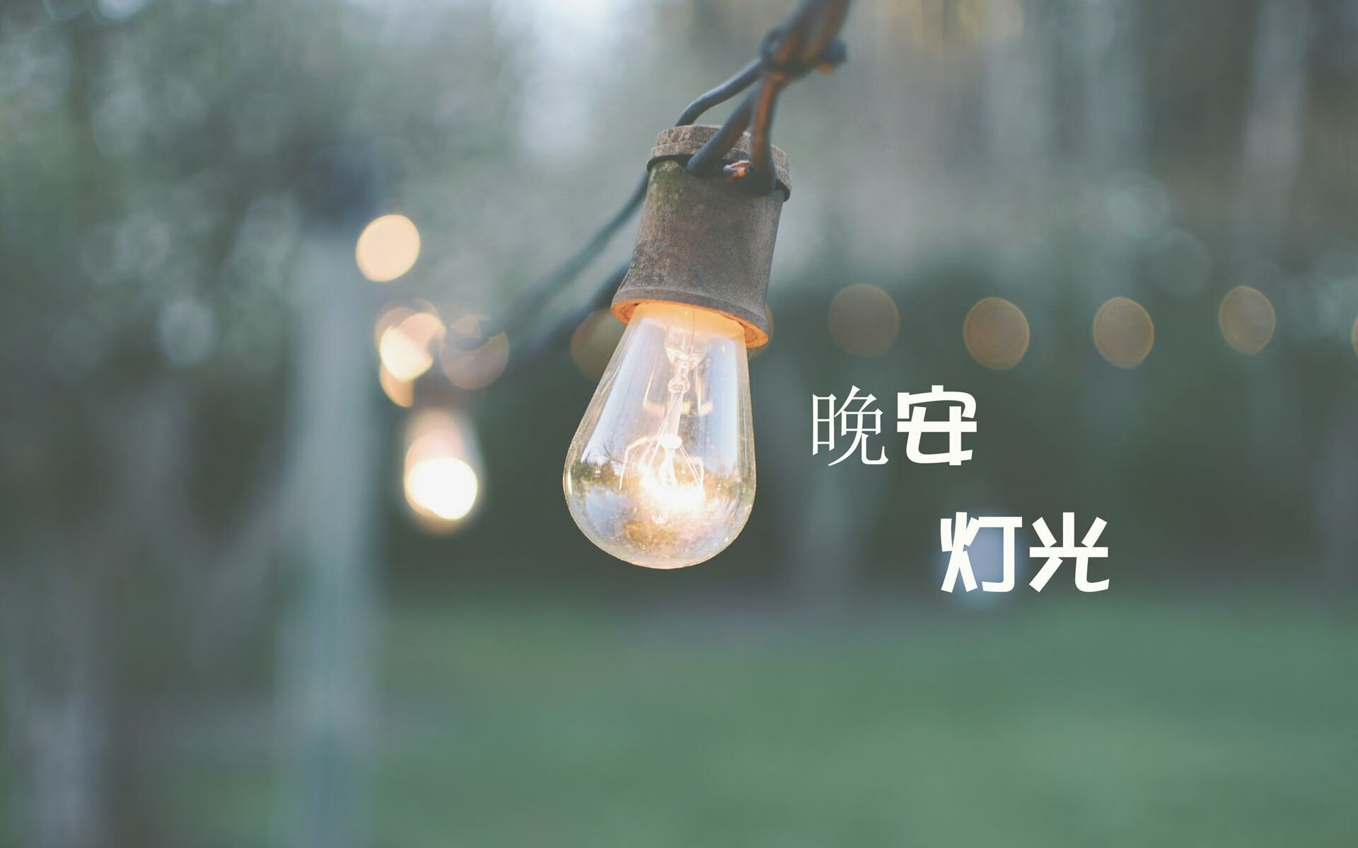 2026世界杯F组,哈基米掌控中场,伊拉克爆冷掀翻美国