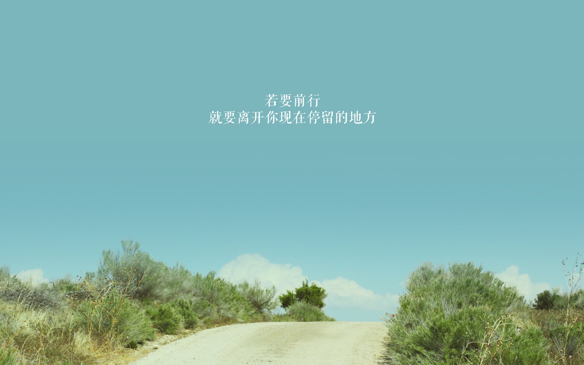 北境之光，当枫叶旗在F组升起—加拿大2026世界杯惊天逆转葡萄牙，凯恩绝杀背后的攻守美学