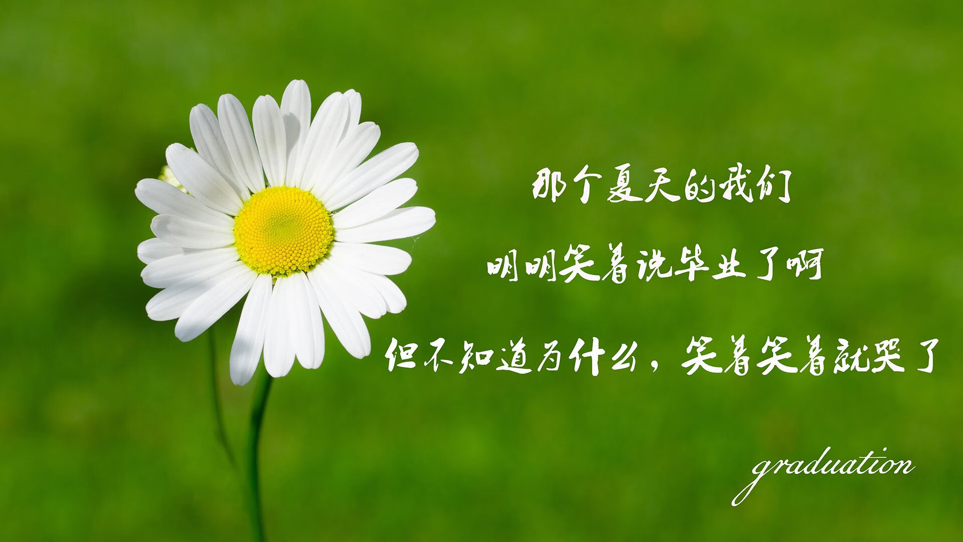唯一的神迹，2026世界杯，内马尔一剑封喉，瑞典碾压加拿大书写冰火传奇
